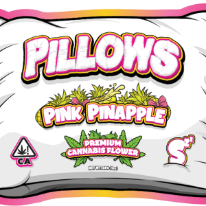 Pillows Pink Pineapple
