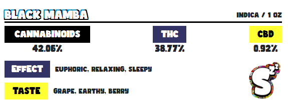 Pillows Black Mamba 3G - Image 2